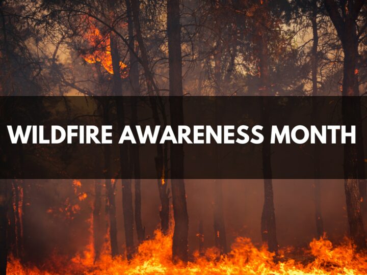 The words Wildfire Awareness Month in white text on a black background placed on top of a photo of a fire burning trees