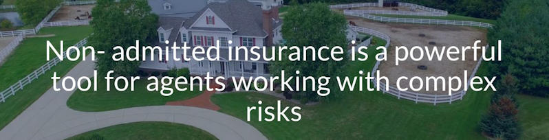Non-admitted insurance is a powerful tool for agents working with complex risks