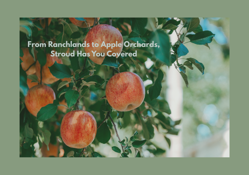 From Ranchlands to Apple Orchards, Stroud Has You Covered - Stroud National Agency, Inc. is a managing general agency (MGA) and wholesale insurance broker. We offer independent insurance agents in TX, OK, KS, NE, NM, AR, AZ, CO, IA, ID, MN, MO, MT, ND, OR, SD, UT, and WY market opportunities for farm and ranch, irrigation, small business commercial, and manufactured homes insurance.