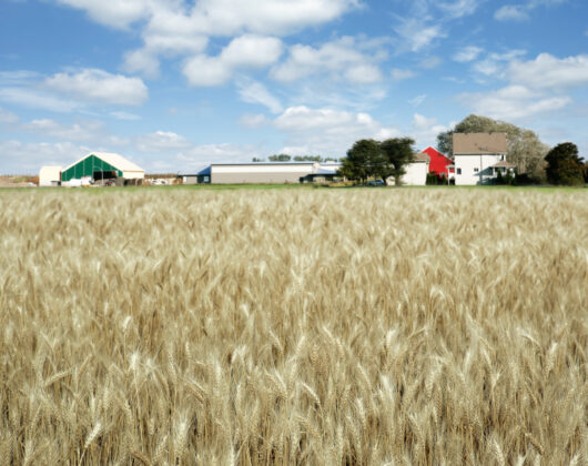 Kansas farm insurance