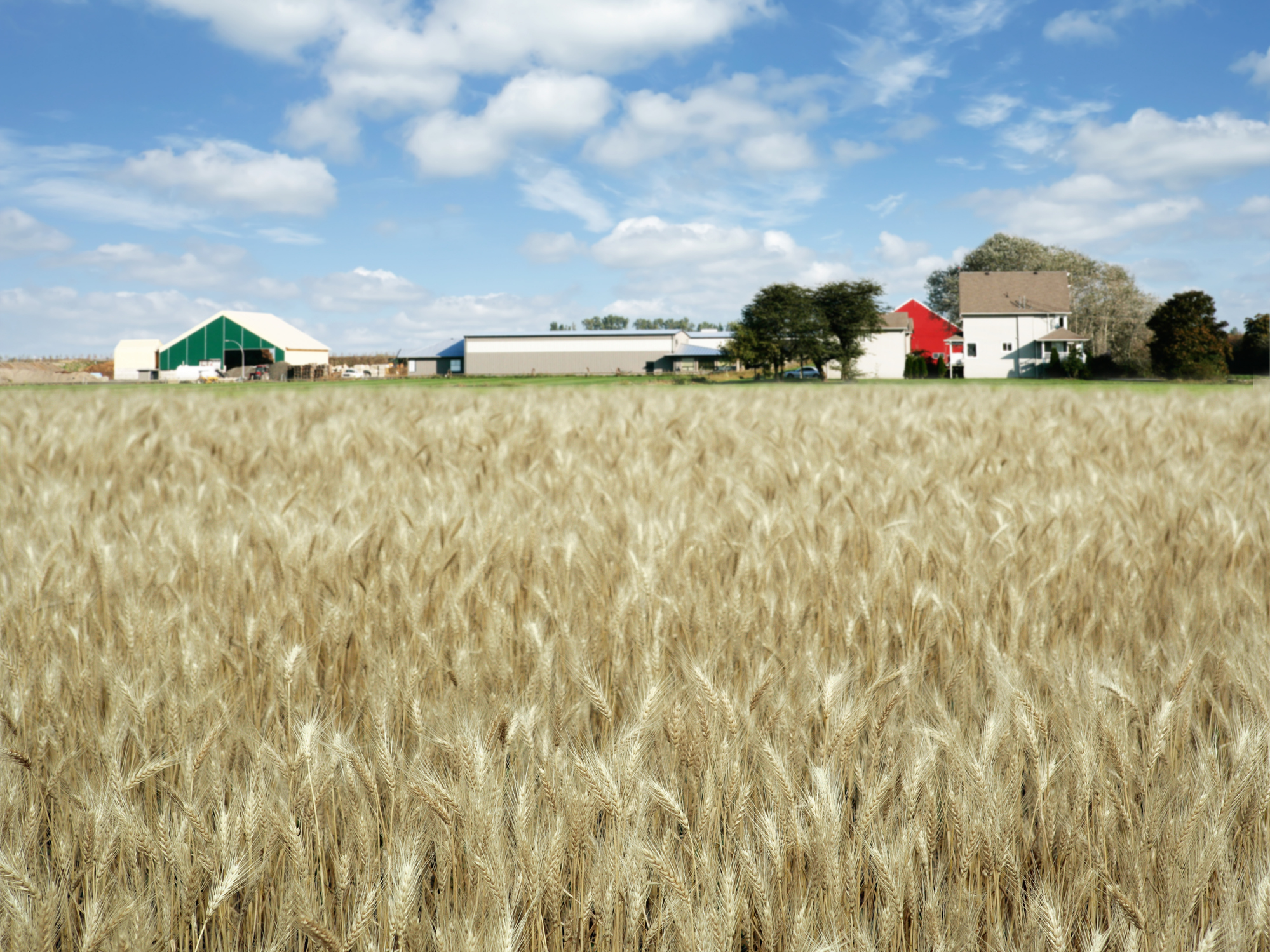 Kansas farm insurance