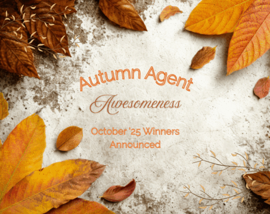 Autumn Agent Awesomeness - October 2025 Winners Announced. Decorative autumn leaves border Stroud National Agency Inc.’s announcement of the winners of its October agent new business drawing.