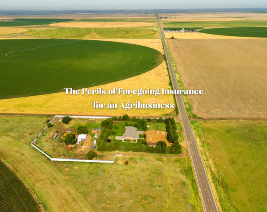 Aerial view of a single farm and ranch operation surrounded by irrigated and dry crop fields along a rural highway, with the title ‘The Perils of Foregoing Insurance for an Agribusiness,’ illustrating Stroud National’s guidance for agents with clients who bring up self‑insurance.