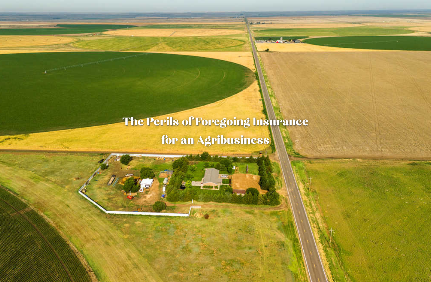 Aerial view of a single farm and ranch operation surrounded by irrigated and dry crop fields along a rural highway, with the title ‘The Perils of Foregoing Insurance for an Agribusiness,’ illustrating Stroud National’s guidance for agents with clients who bring up self‑insurance.