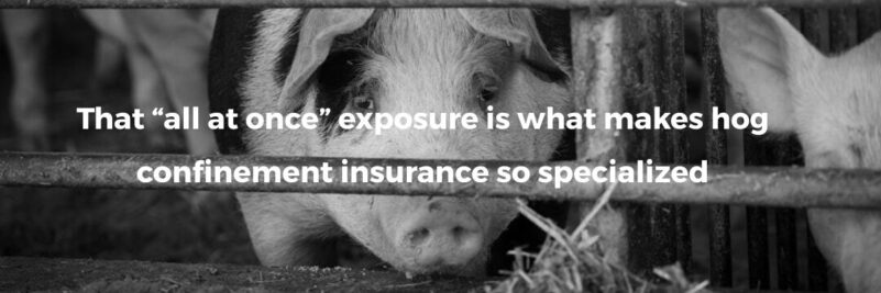 That “all at once” exposure is what makes hog confinement insurance so specialized