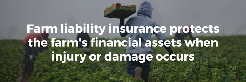Farm liability insurance protects the farm's financial assets when injury or damage occurs